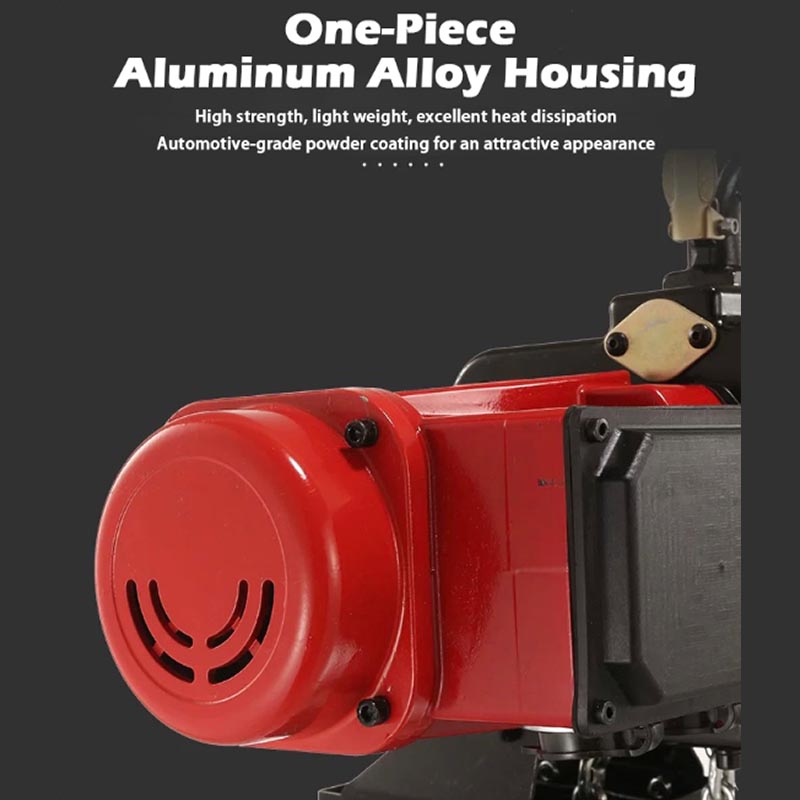 Electric Chain Hoist - 220V Elektrischer Kettenzug mit Einstellbarer Geschwindigkeit,